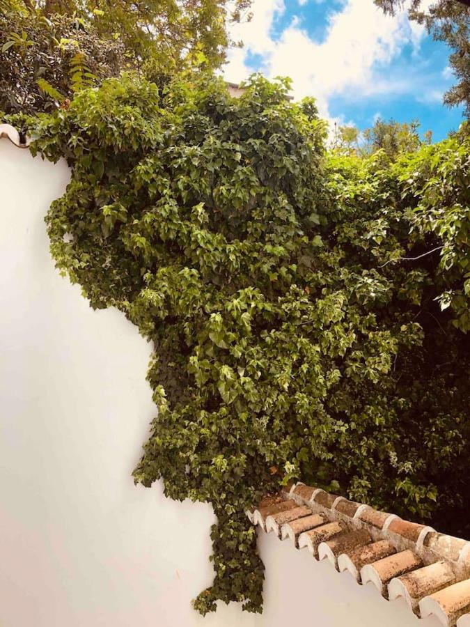 La Victoria 1 El Paseo Apartment Archidona Ngoại thất bức ảnh